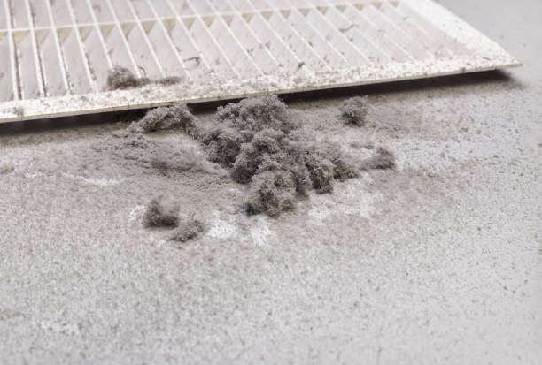 Air Duct Mold Removal in VA