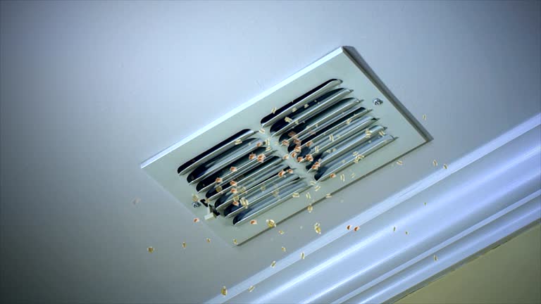 Best Home Air Vent Cleaning  in Fort Belvoir, VA