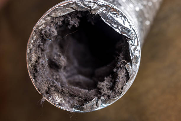 Affordable HVAC Duct Cleaning in VA